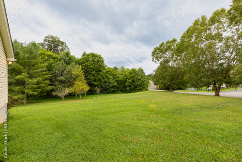 large green yard with trees lining property