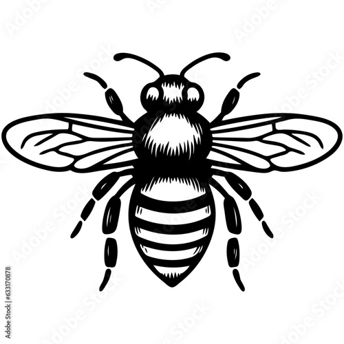Honey bee
