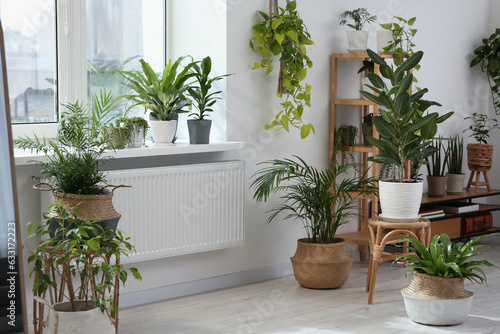 Stylish room with beautiful plants near window. Interior design