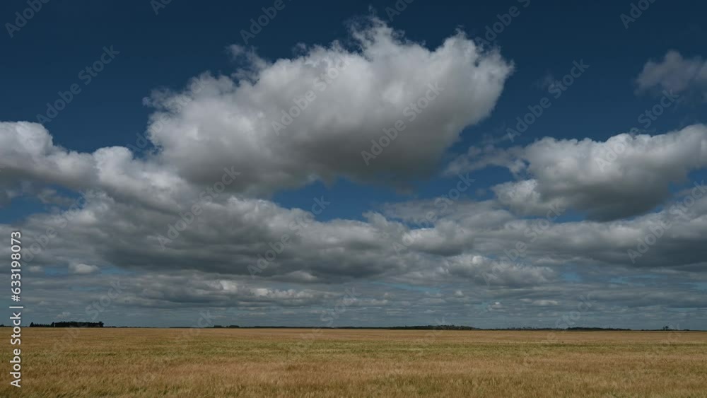 Time lapse of white and gray clouds in a blue sky moving towards the viewer above a field of golden colored wheat.
Time lapse of white and gray clouds in a blue sky moving towards the viewer above a field of golden colored wheat.