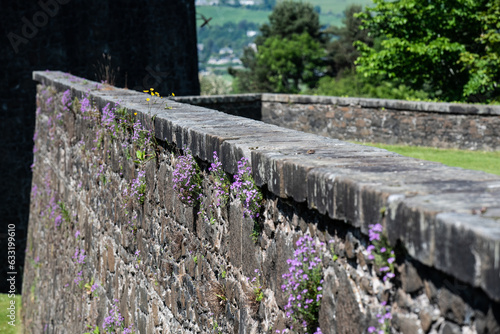 Fototapeta Naklejka Na Ścianę i Meble -  Stirling Castle, Scotland