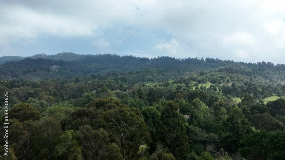 Drone video of forest in Colombia Drone video of forest in Colombia
