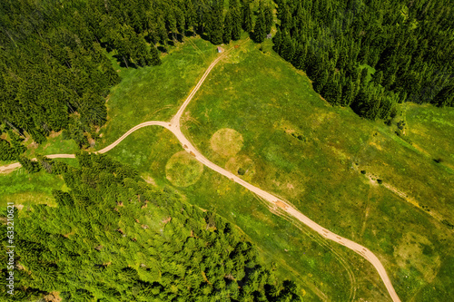 Beautiful natural green forest field with view from air, aerial photo