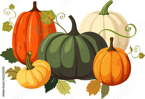 Vector illustration of five various colorful cartoon style pumpkins with leaves on white background. 
