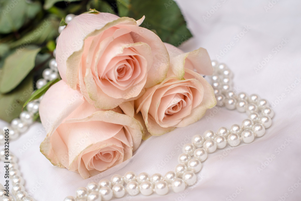 The branch of pink rose on white fabric background
The branch of pink rose on white fabric background