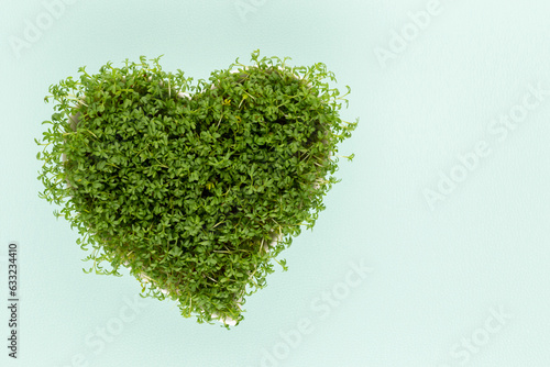 Creative layout made of sprout seed heart bowl. Flat lay, top view. Food ingredient pattern.