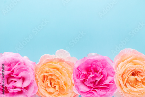 Blurred background with rose. Copy space for your text. Mock up template. Can be used for wallpaper, wedding card.