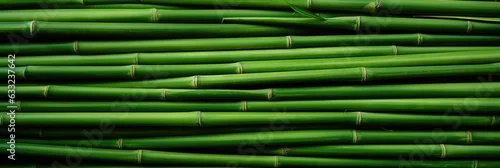 Obraz  z motywem Horizontal green bamboo background texture