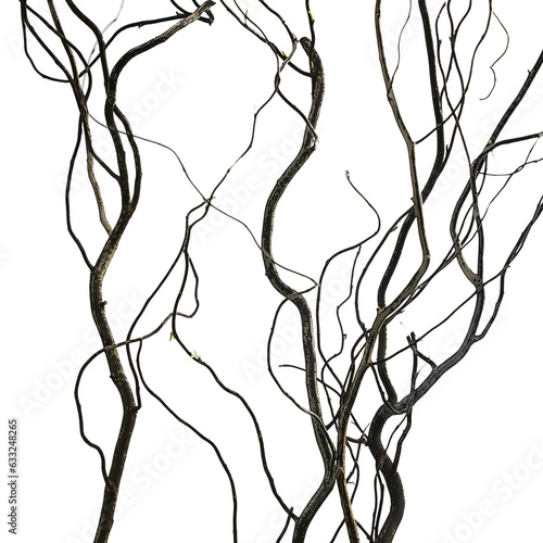 Silhouette dry branches abstract high contrast on white background
