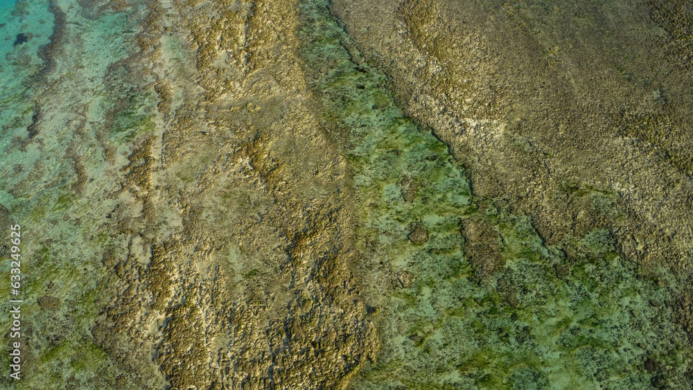 Clear Water Background Texture Top View