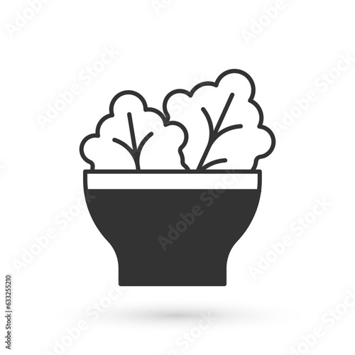 Grey Salad in bowl icon isolated on white background. Fresh vegetable salad. Healthy eating. Vector