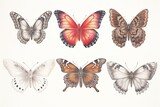 Graceful Butterfly Symphony: Wings Fluttering in Harmony with Nature's Melodies - A Captivating Butterfly Drawing, generative AI