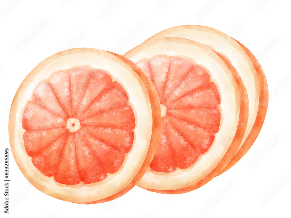 Watercolor Grapefruit Watercolor Grapefruit