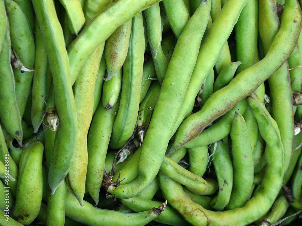 Green beans from the market