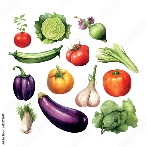Vegetables watercolor in retro hand drawn style on white background. Summer element vector illustration.