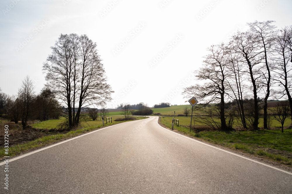 Road in landscape between trees and agriculture fields on sunny afternoon in spring