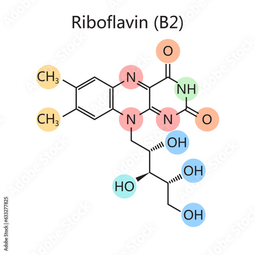 Chemical organic formula of riboflavin vitamin B2 diagram schematic vector illustration. Medical science educational illustration