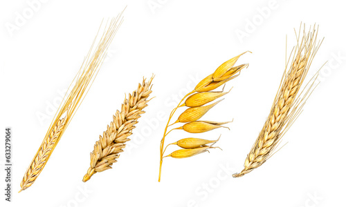 collection set of grain isolated over transparent background png