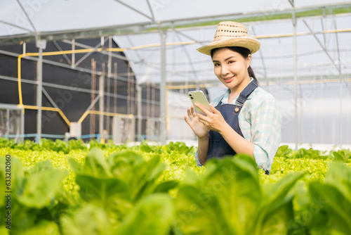 Asian woman holding a smartphone in a green oak lettuce garden in a greenhouse using an organic hydroponics system. Woman checking before harvest