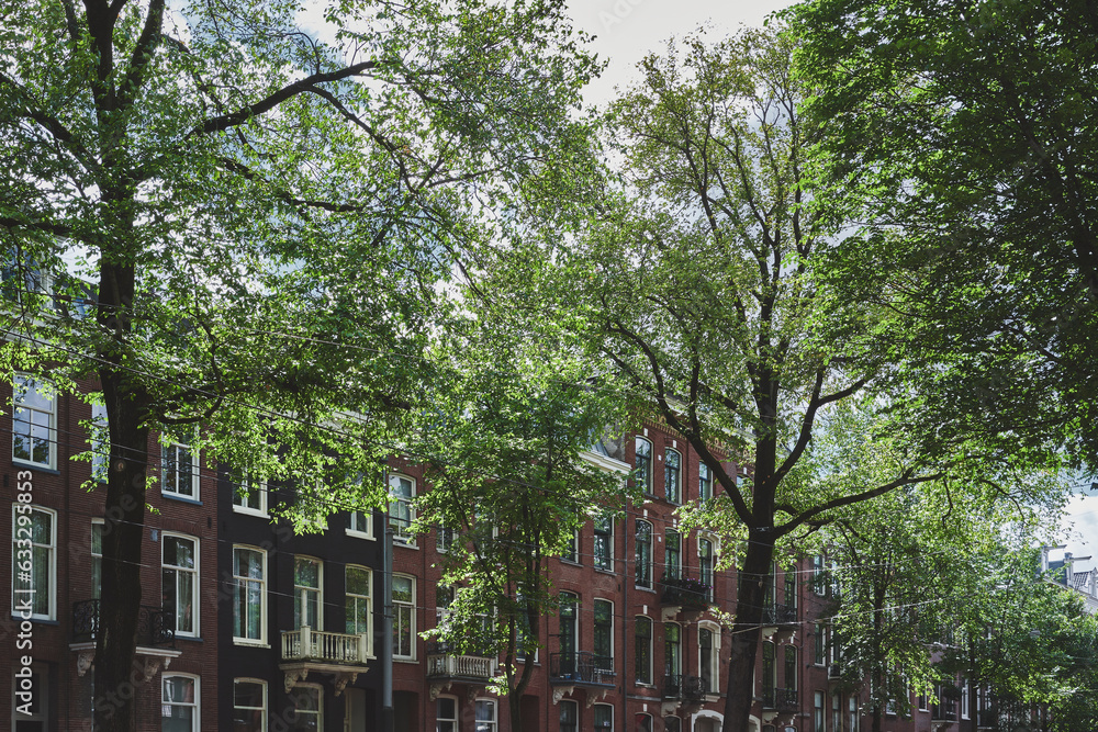 Fototapeta premium Green cityscape with trees of Amsterdam.
