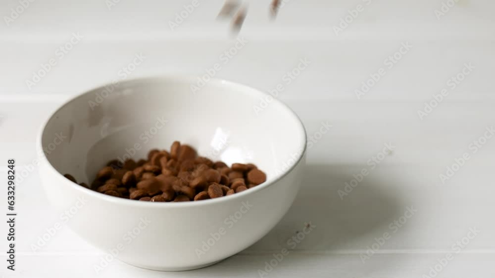 Dry pet food is poured into a white bowl, slow motion Dry pet food is poured into a white bowl, slow motion