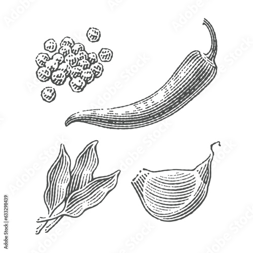 Ramson, pile of peppercorns, garlic clove, chilli pepper. Set of spices. Hand drawn engraving style illustrations.