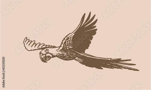 Graphical parrot  on sepia background,vector element of bird.Vintage illustration