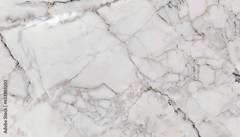 White grey marble floor texture background with high resolution, counter top view of natural tiles stone in seamless glitter pattern and luxurious vector illustration .
White grey marble floor texture background with high resolution, counter top view of natural tiles stone in seamless glitter pattern and luxurious vector illustration .