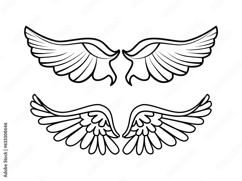 Obraz premium wing feathers,two wings vector illustration,a pair of wings decor,isolated on a white background