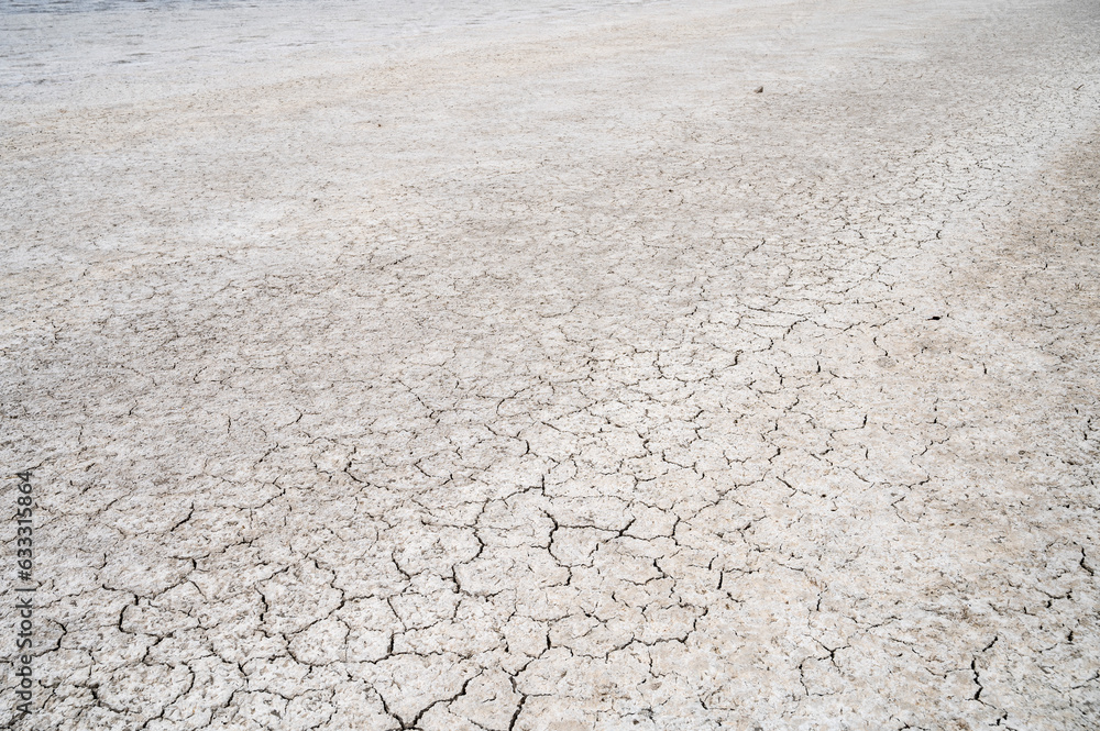Obraz premium cracked and dry land of a lagoon Laguna Larga de Villacañas in Spain, dried due to the drought.