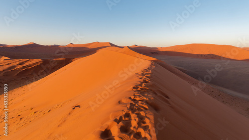 Fototapeta Naklejka Na Ścianę i Meble -  Footprints on the top of the dune in the Namib desert, Naukluft National Park, Namibia