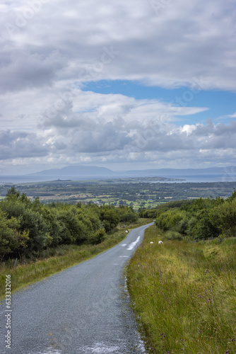 Carrownamadda, Ireland - July 16 2023 "Benbulben Forest Walk"