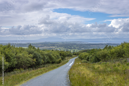 Carrownamadda  Ireland - July 16 2023  Benbulben Forest Walk 