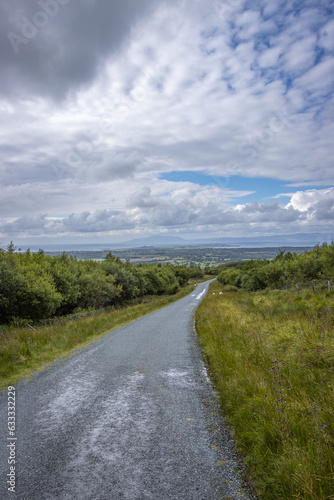 Carrownamadda  Ireland - July 16 2023  Benbulben Forest Walk 