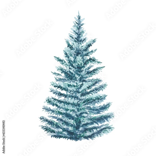 Illustration of a  spruce hand painted in watercolor