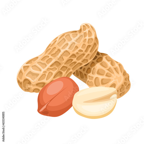 Vector illustration, whole and peeled peanuts, isolated on white background.