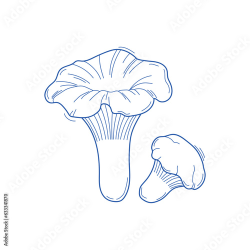 Vector sketch chanterelles mushrooms black and white graphics, autumn mushrooms isolated on white background