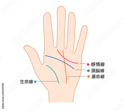 手相の各部説明