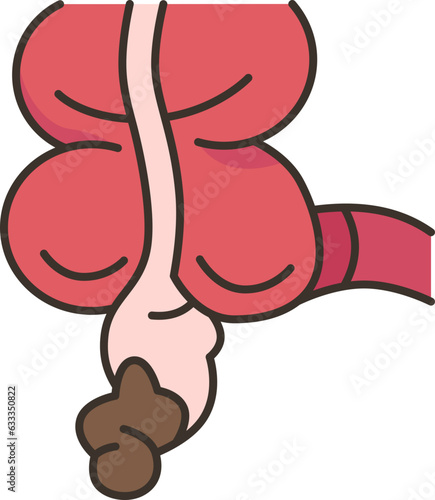 appendix  icon