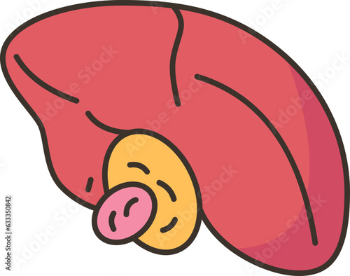 gallbladder  icon