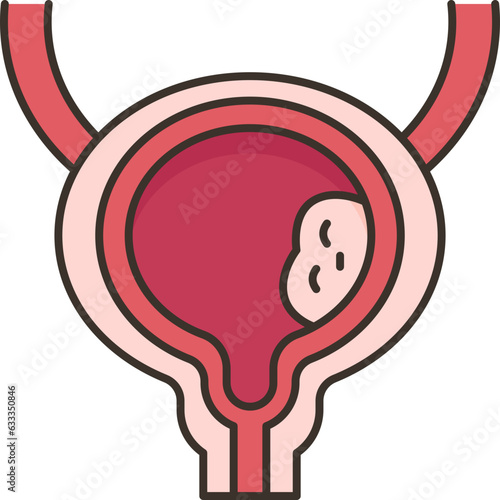 bladder  icon