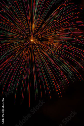 fireworks in the sky