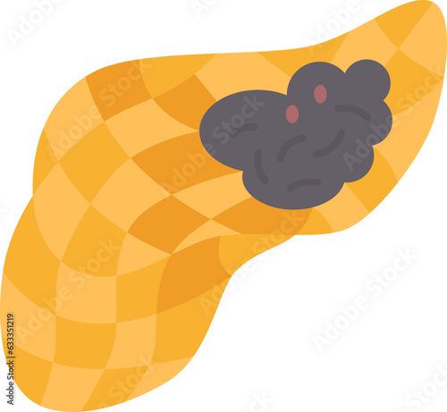 pancreatic  icon