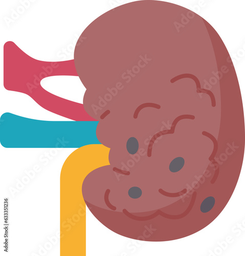 kidney  icon