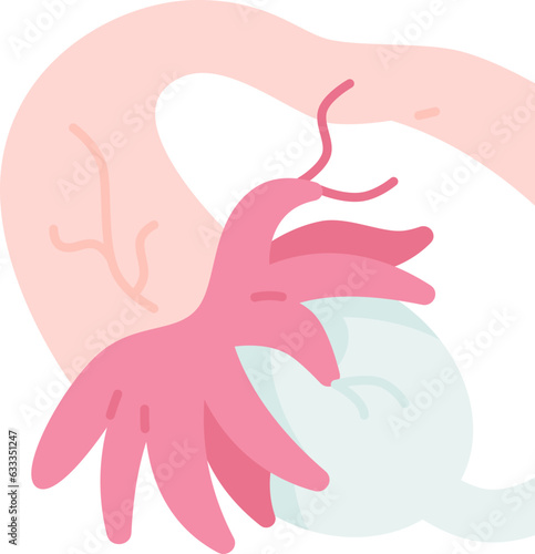 fallopian  icon
