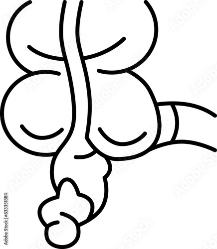 appendix  icon