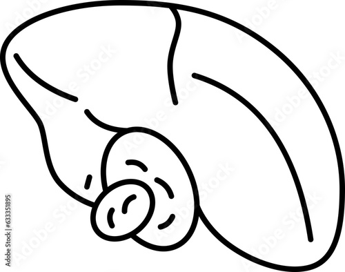 gallbladder  icon