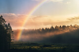 A rainbow that appears among the trees in the forest