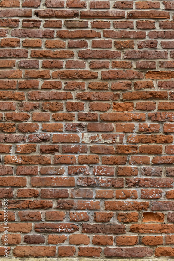 Fototapeta premium Mur en briques, Bruxelles, Belgique