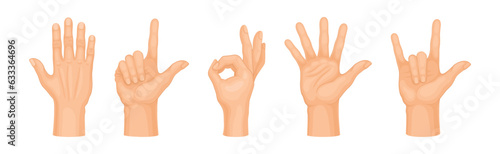 Human Hand Showing Gestures and Signs Vector Set